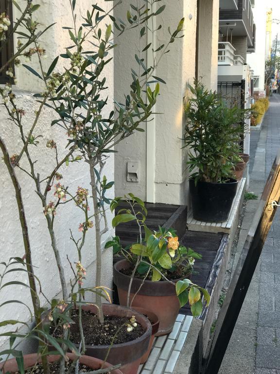Saga International Guesthouse Hagakure Εξωτερικό φωτογραφία
